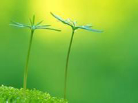 南寧市召開創(chuàng)國衛(wèi)先進(jìn)單位及個(gè)人表彰大會(huì)