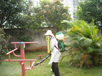 2014年4月30日康凈公司積極參加由南寧市愛衛(wèi)辦組織的服務全國體操錦標賽主會場病媒防制工作